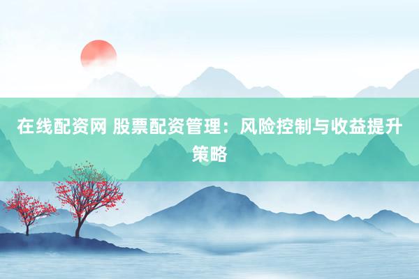 在线配资网 股票配资管理：风险控制与收益提升策略