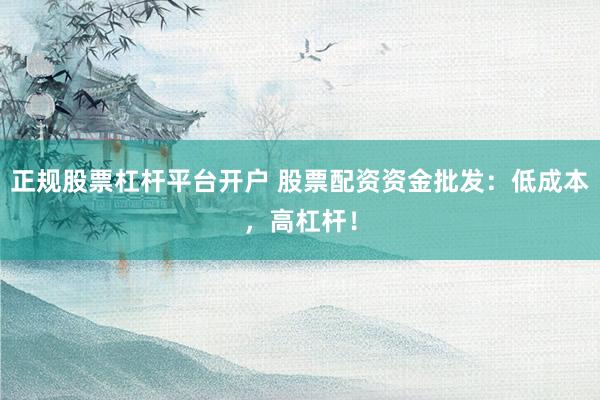 正规股票杠杆平台开户 股票配资资金批发：低成本，高杠杆！
