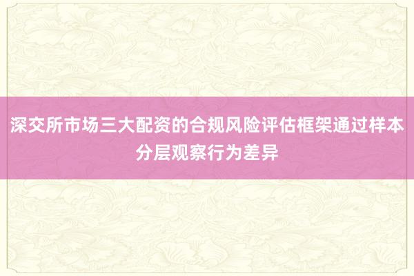 深交所市场三大配资的合规风险评估框架通过样本分层观察行为差异