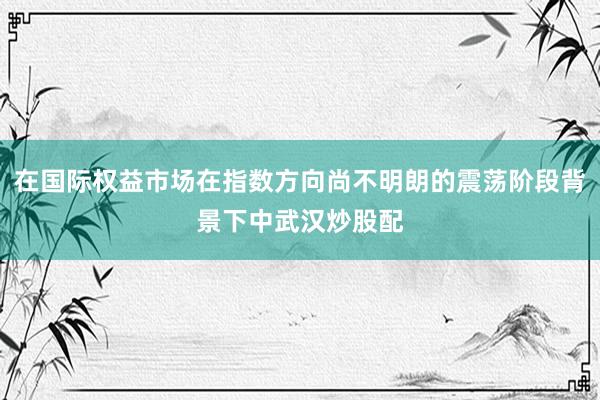 在国际权益市场在指数方向尚不明朗的震荡阶段背景下中武汉炒股配