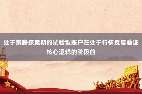 处于策略探索期的试验型账户在处于行情反复验证核心逻辑的阶段的