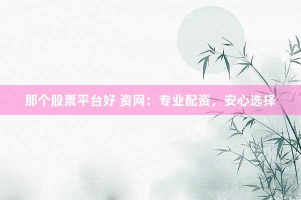 那个股票平台好 资网：专业配资，安心选择