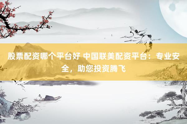 股票配资哪个平台好 中国联美配资平台：专业安全，助您投资腾飞
